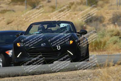 media/Sep-29-2024-Turn8 Trackdays (Sun) [[1cf3b4bb64]]/Yellow/Session 2 (Turn 2)/